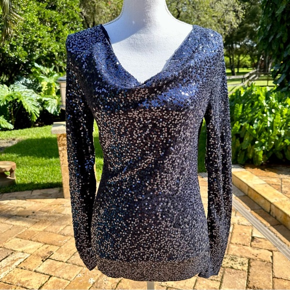 Boston Proper Tops - EUC! Boston Proper Silk Cashmere Blue Sequined Top
